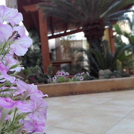 Amaryllis Otel San Vito Lo Capo Dış mekan fotoğraf