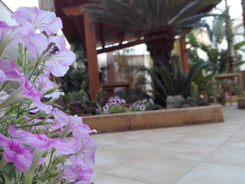 Amaryllis Otel San Vito Lo Capo Dış mekan fotoğraf